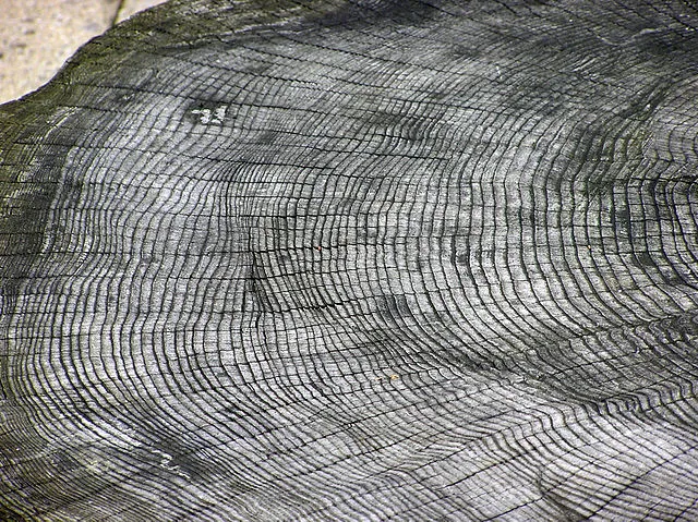 Arpingstone on wikimedia