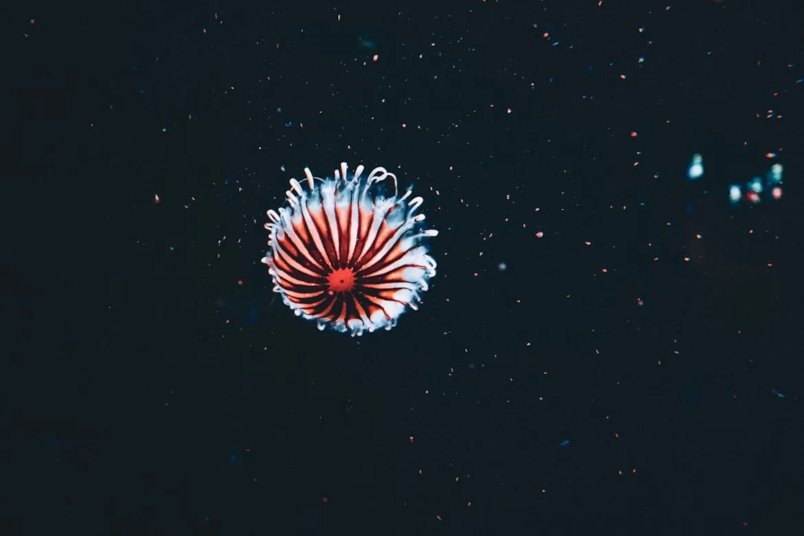 15 Deep-Sea Creatures That Shouldn’t Exist