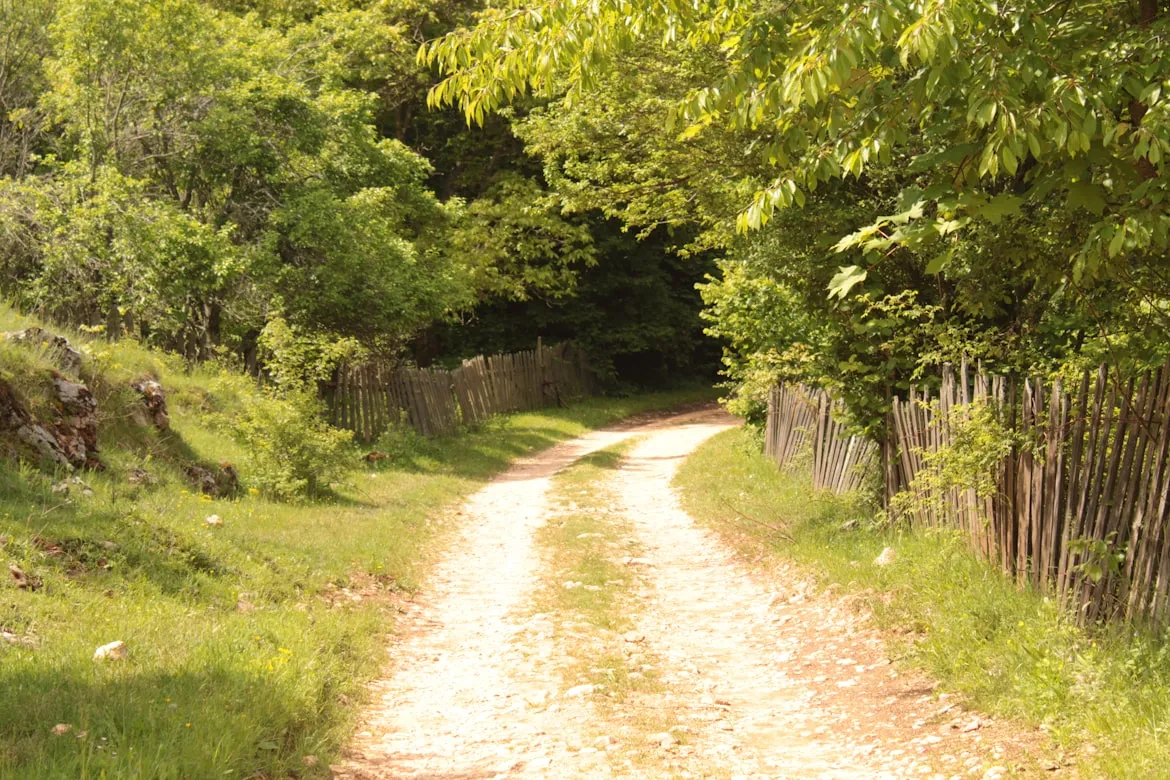 18 Ancient Travel Routes That Connected Civilizations