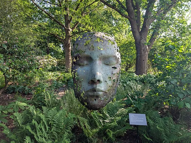 Andy Li on wikimedia