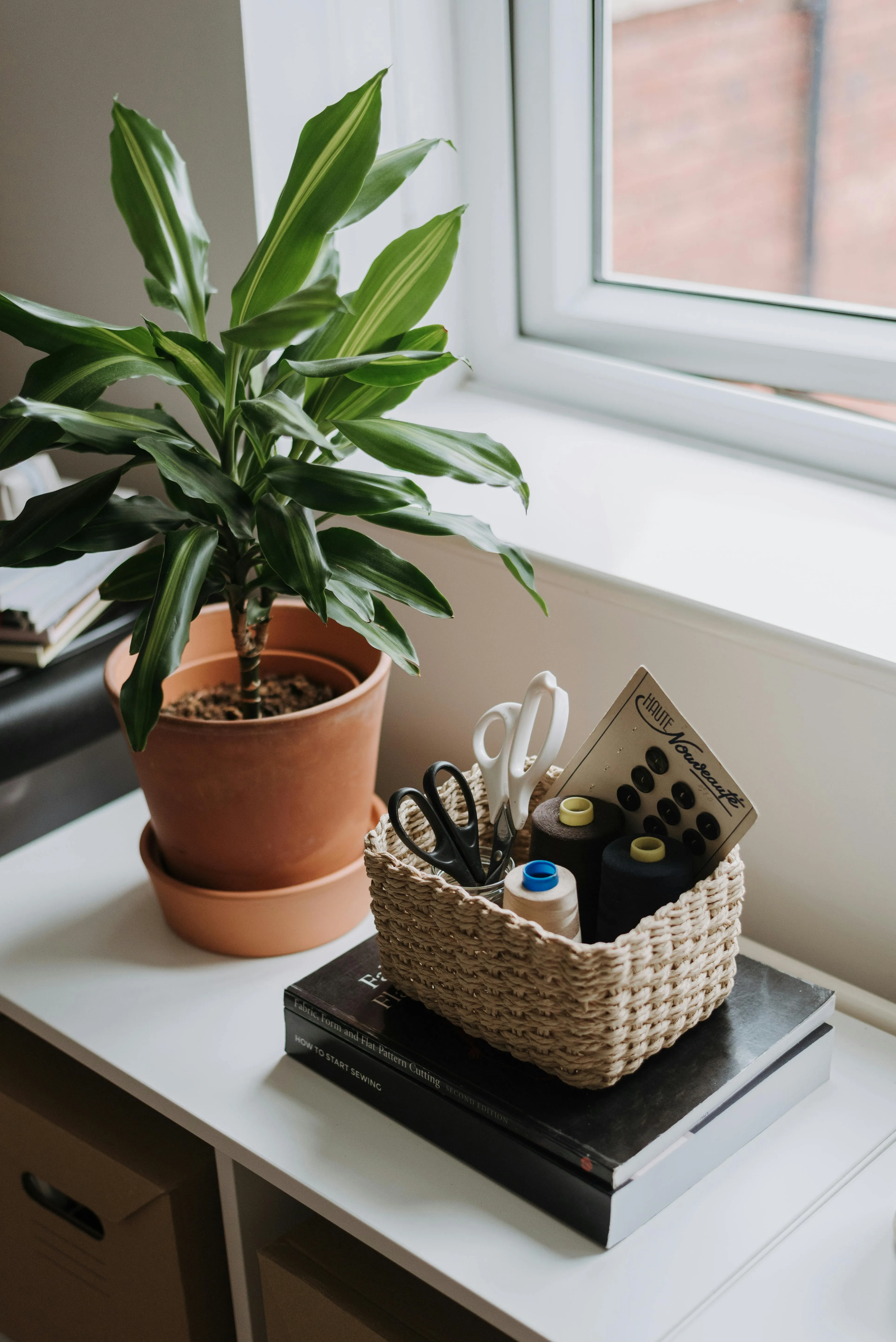 Anete Lusina on Pexels 