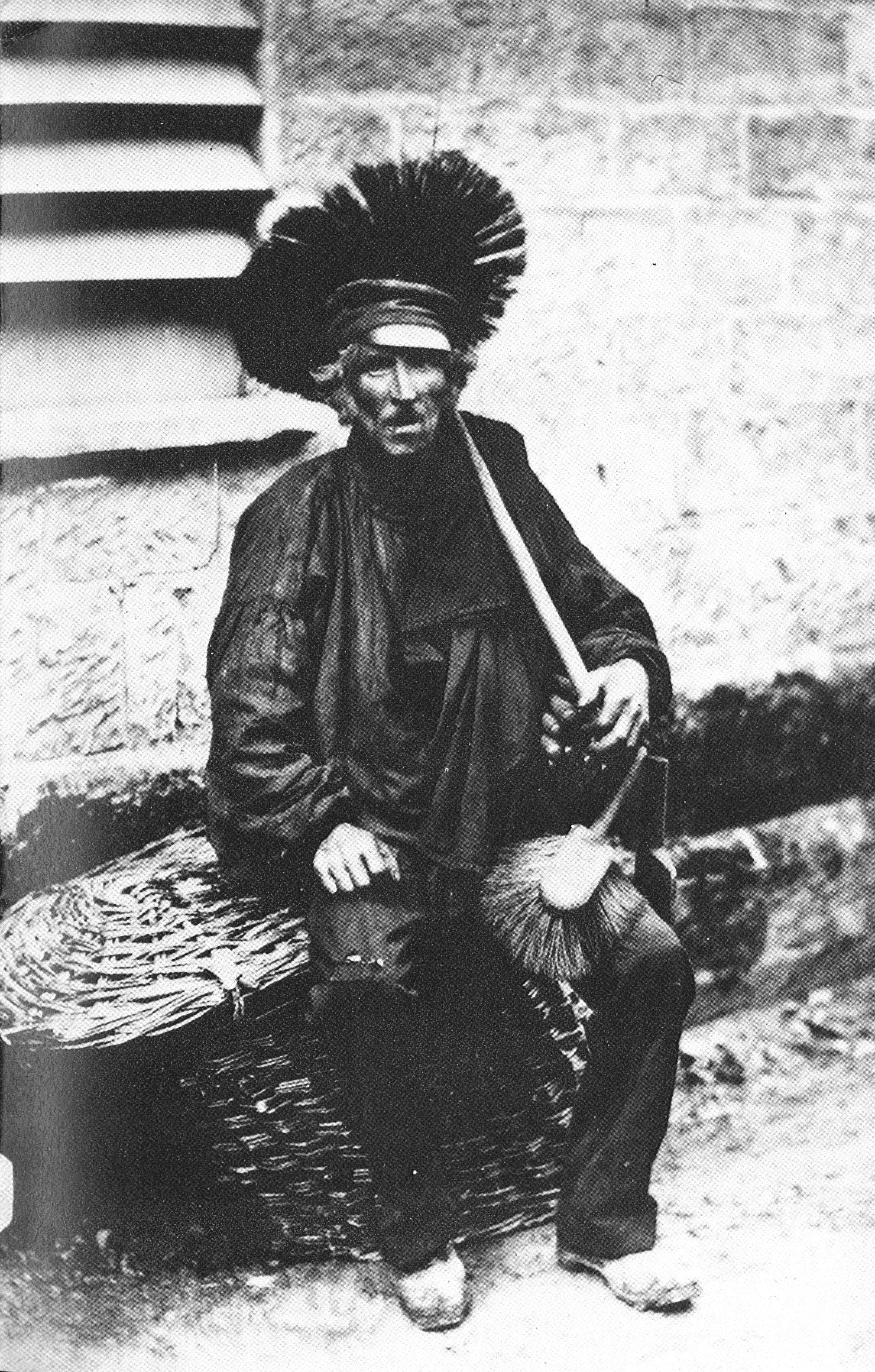 Image from Wikipedia 