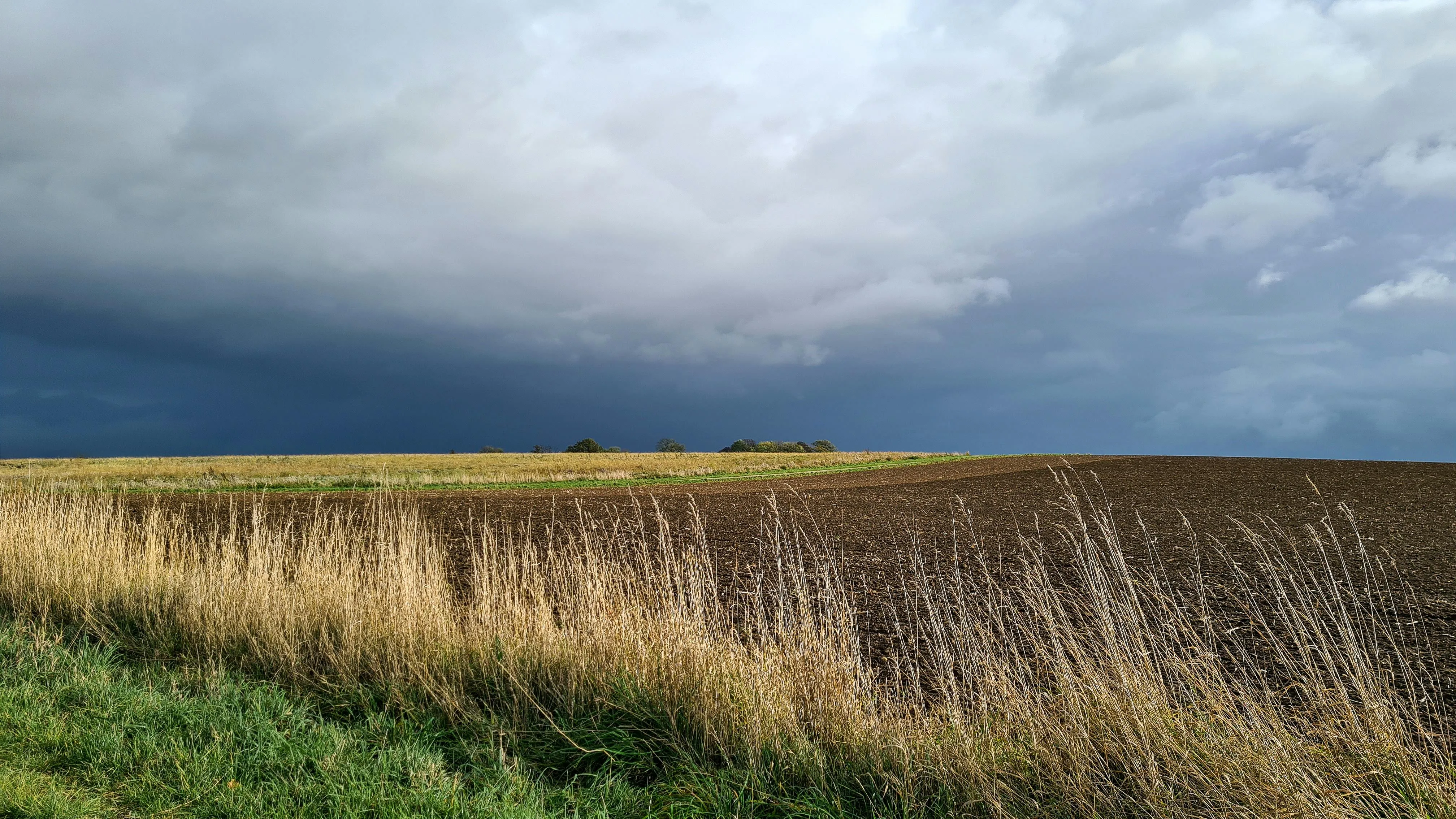 Lorna Pauli on pexels