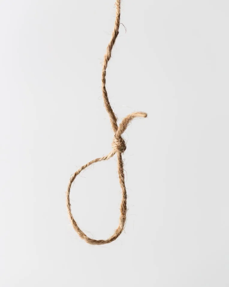 Mae Mu from Unsplash