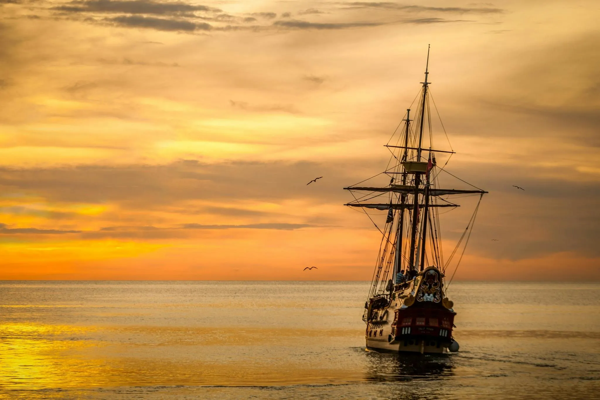 Pixabay on Pexels