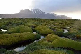 Image from Australian Antarctic Program