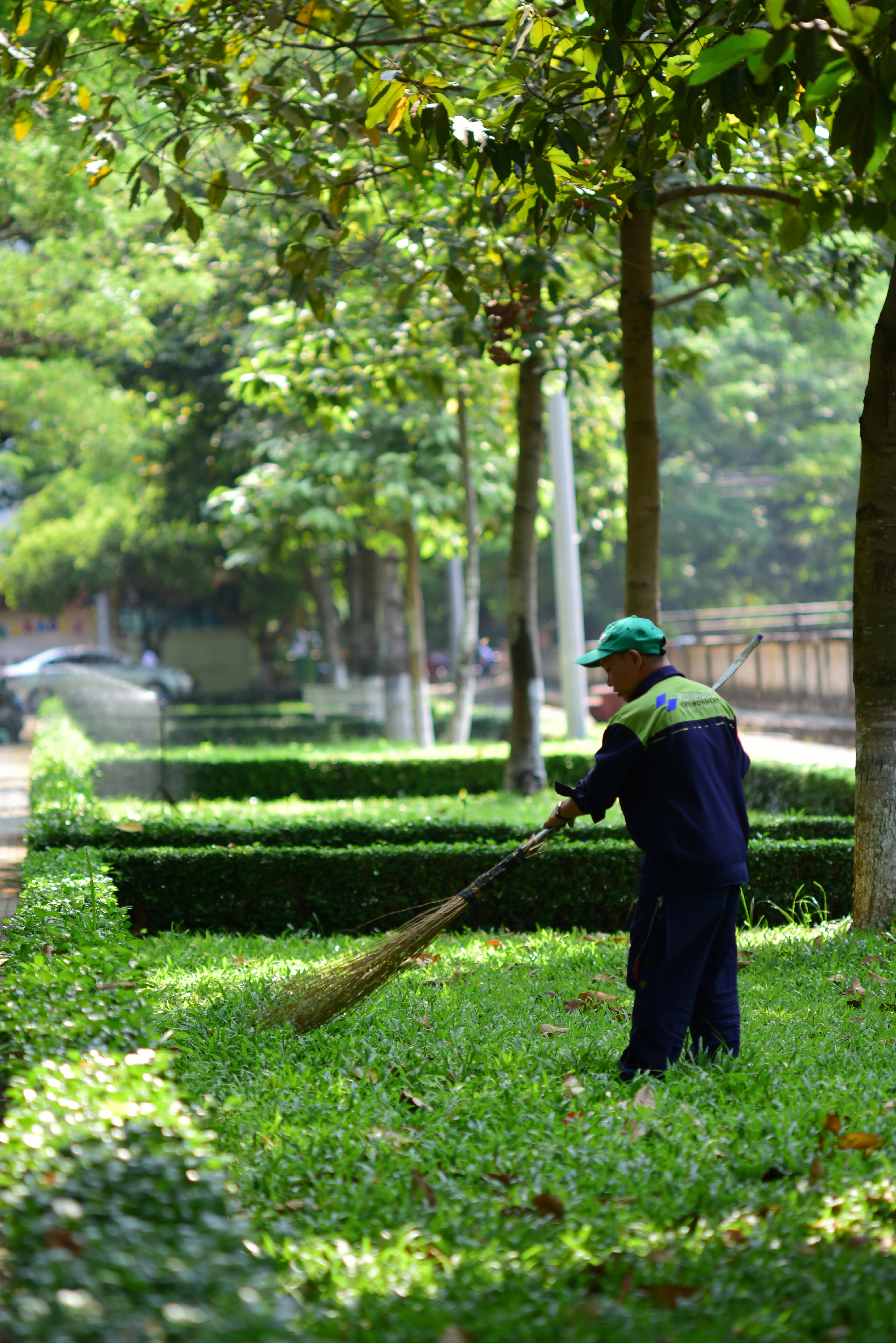 Sóc Năng Động on pexels