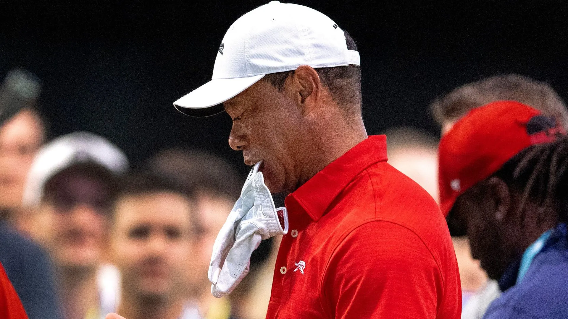 Tiger Woods DUI Arrest Details Emerge After Florida Crash