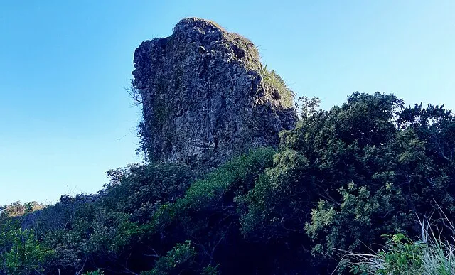 WEI, WAN-CHEN（魏琬臻) on Wikimedia Commons