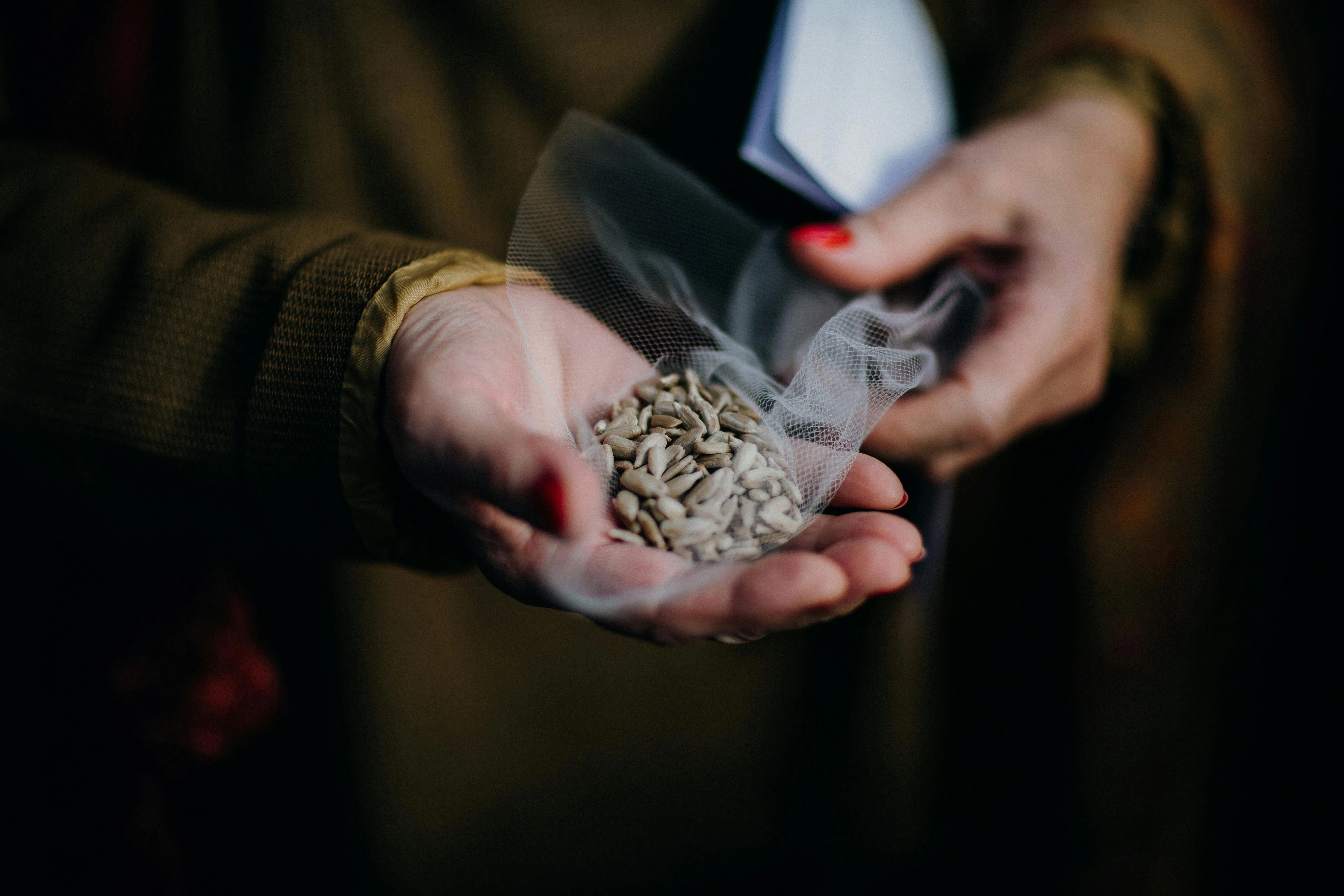 Rene Terp on Pexels
