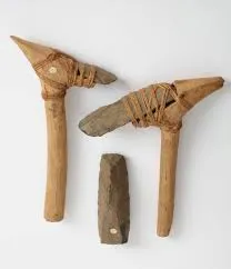 Image from Te Papa's Collections