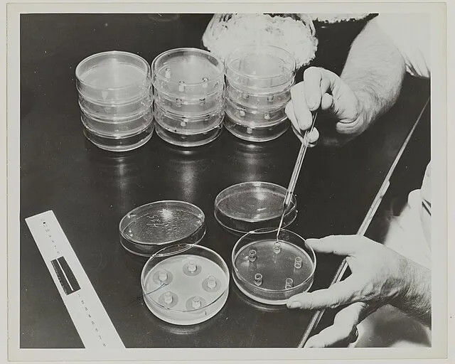 Archives nationales (France) on Wikimedia Commons