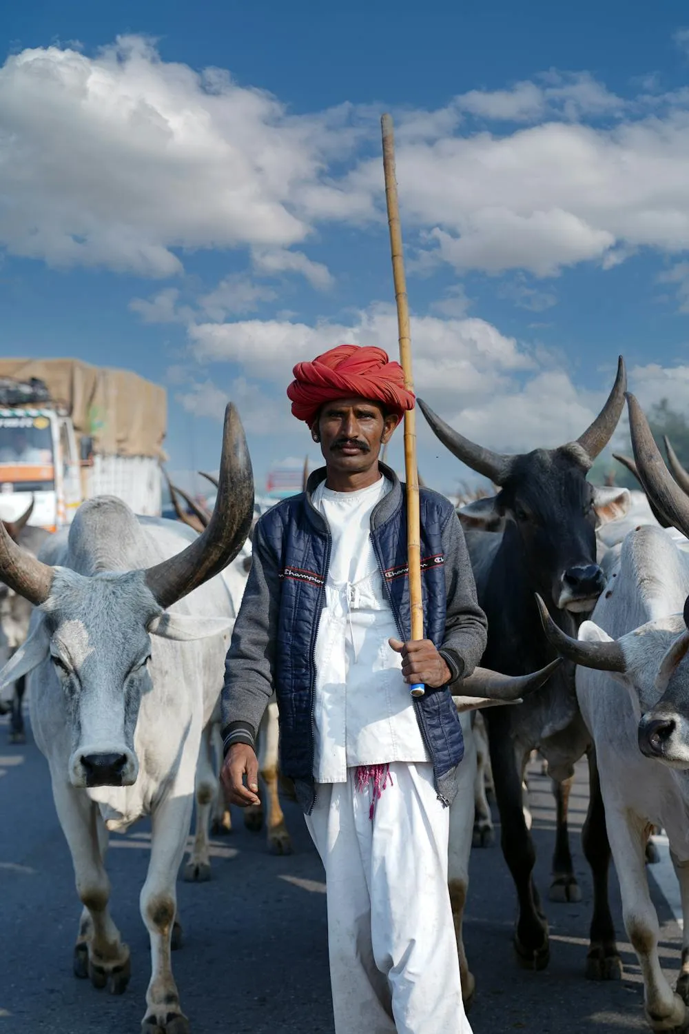 Nishant Aneja on Pexels 