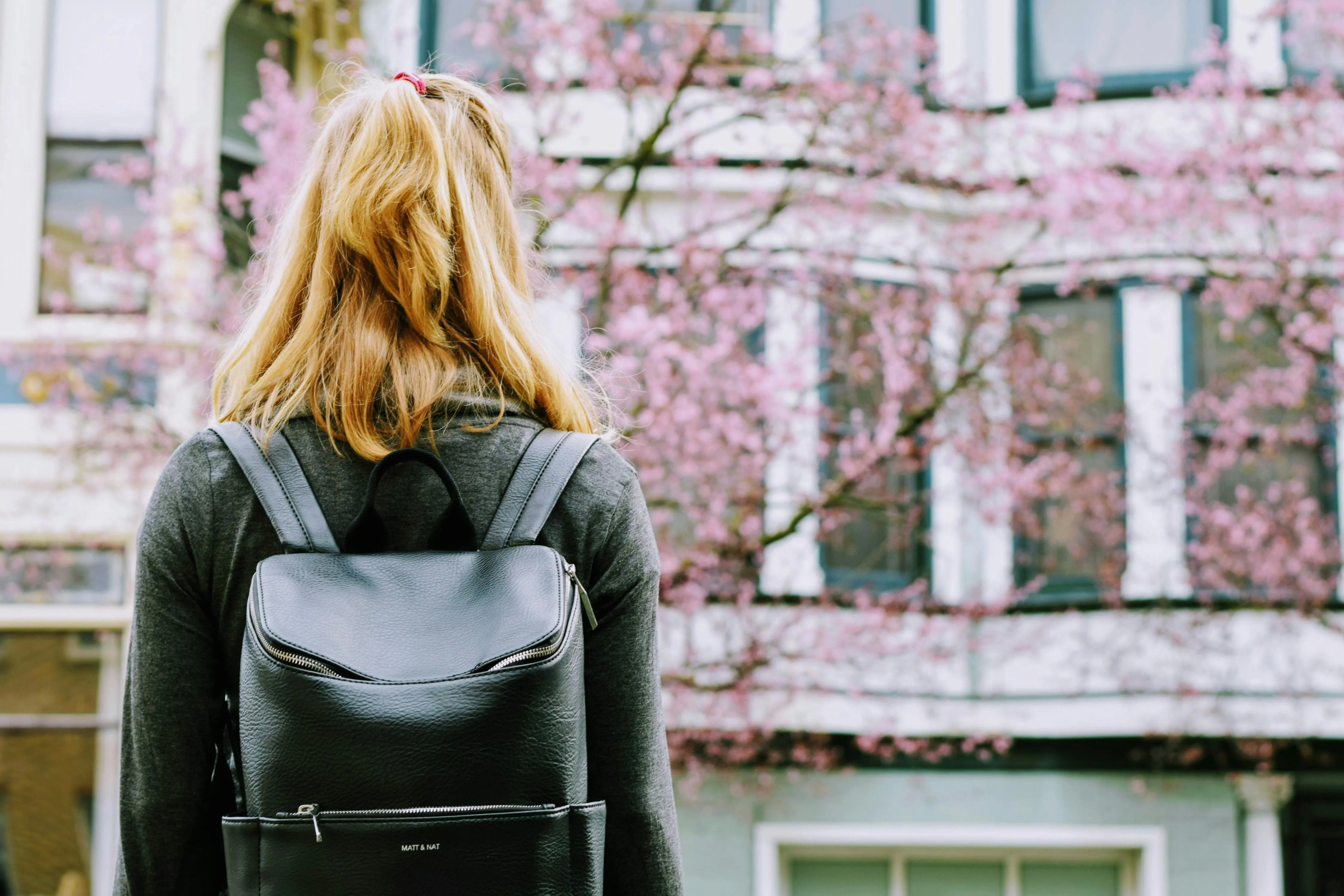Tim Gouw on Pexels