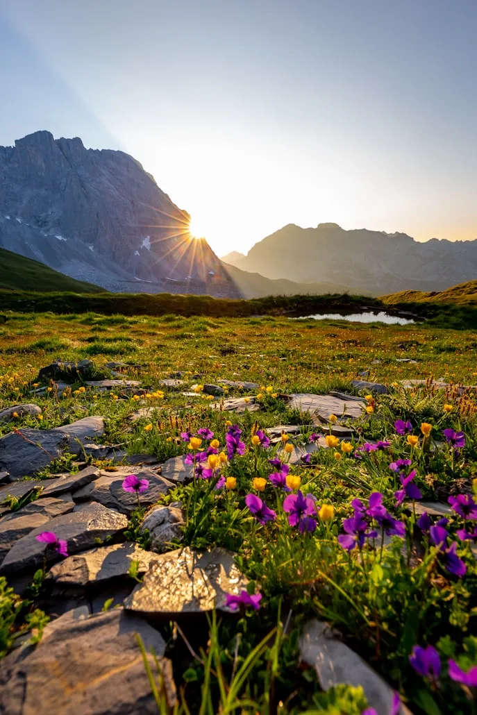 Damian Markutt from Unsplash