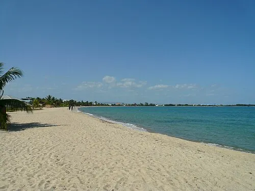 Image from Wikipedia
