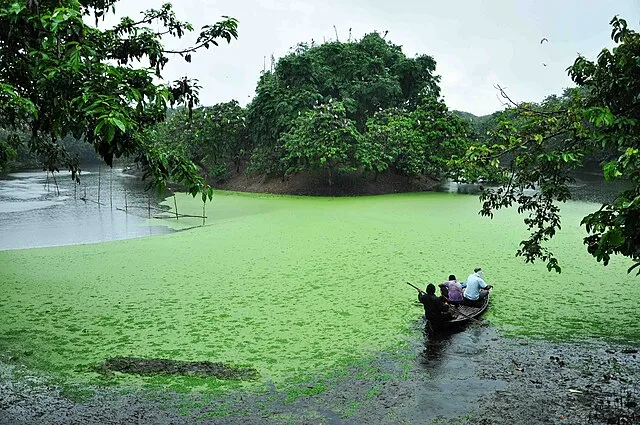 Apurbasen on Wikiemdia Commons