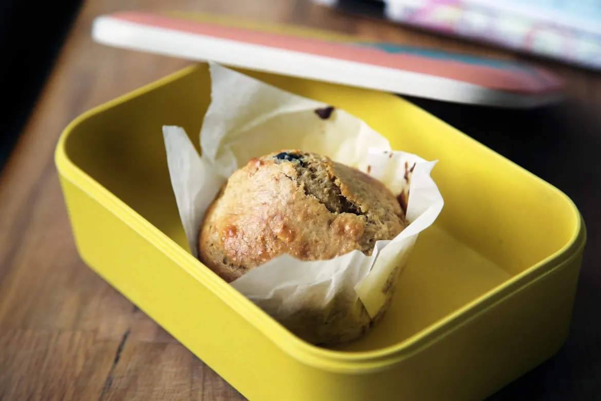 16 Things Every Lunchbox Contained in the 1970s That Vanished