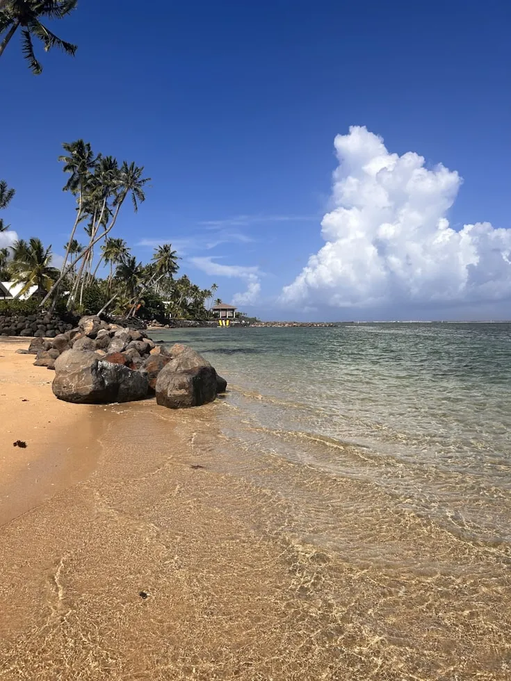 Fine Fifita from Unsplash