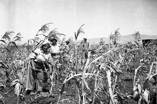 Wikimedia Commons