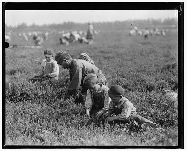 Hine, Lewis Wickes; National Child Labor Committee Collection on Wikimedia Commons 
