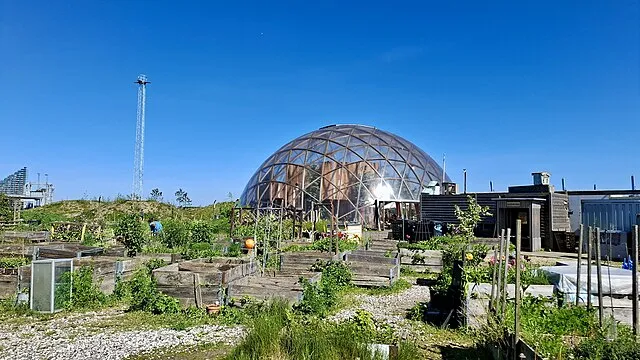 Ciara Ní Riain on WikiCommons