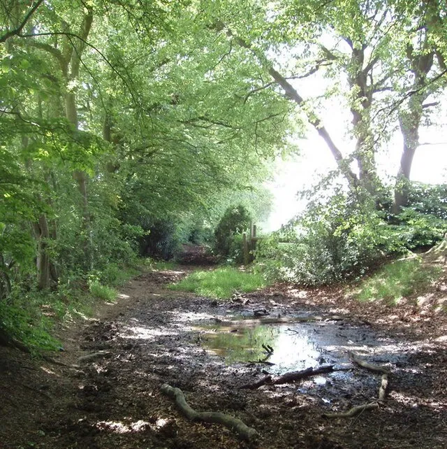 David Hawgood on Wikimedia Commons