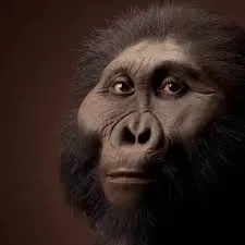 Image from The Smithsonian's Human Origins Program