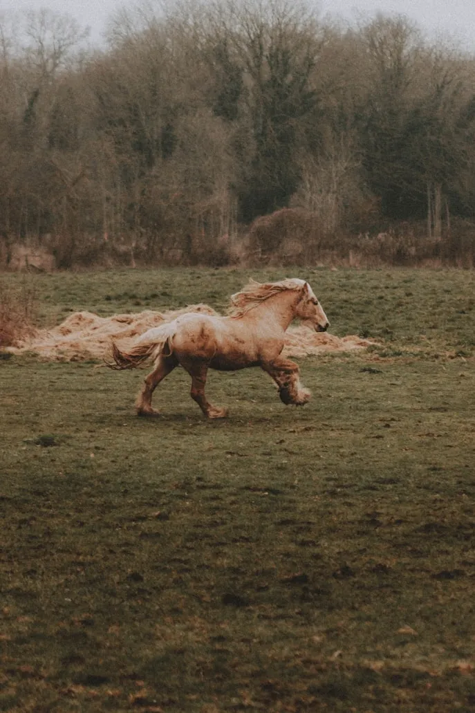 Mathias Reding on Unsplash