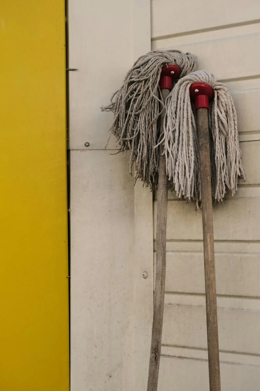 Dawid Kochman on Pexels
