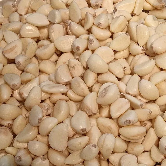 Fumikas Sagisavas on wikimedia