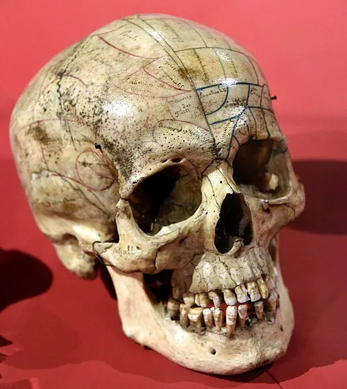 Image from Wikipedia
