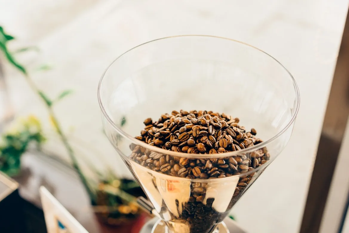 Juni Shi from Unsplash
