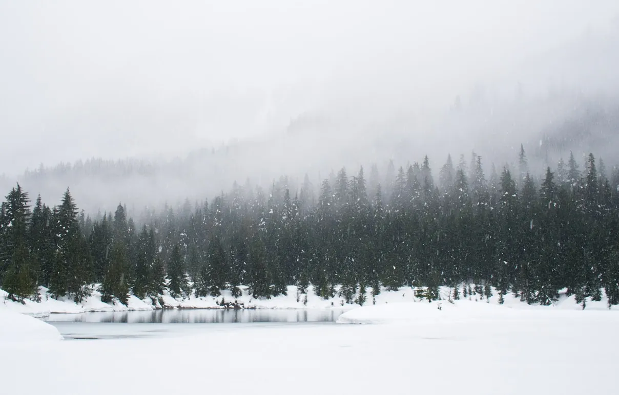 Adam Chang from Unsplash