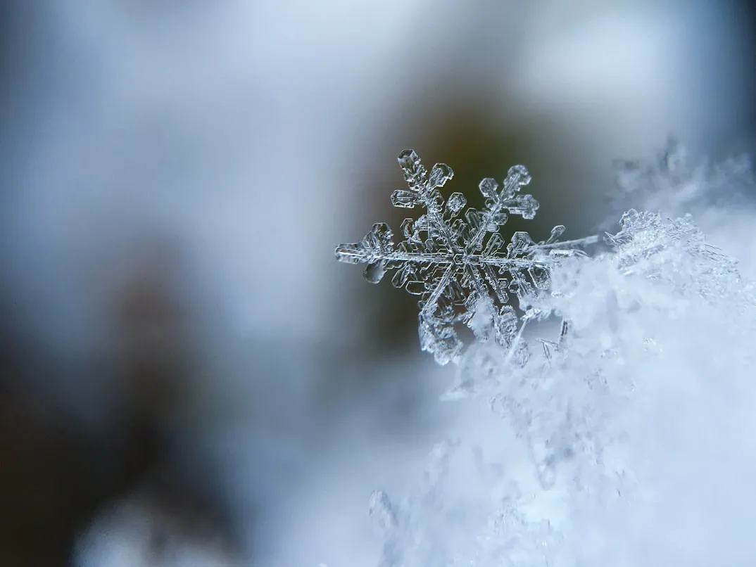 18 Ways People Used Winter Time Productively