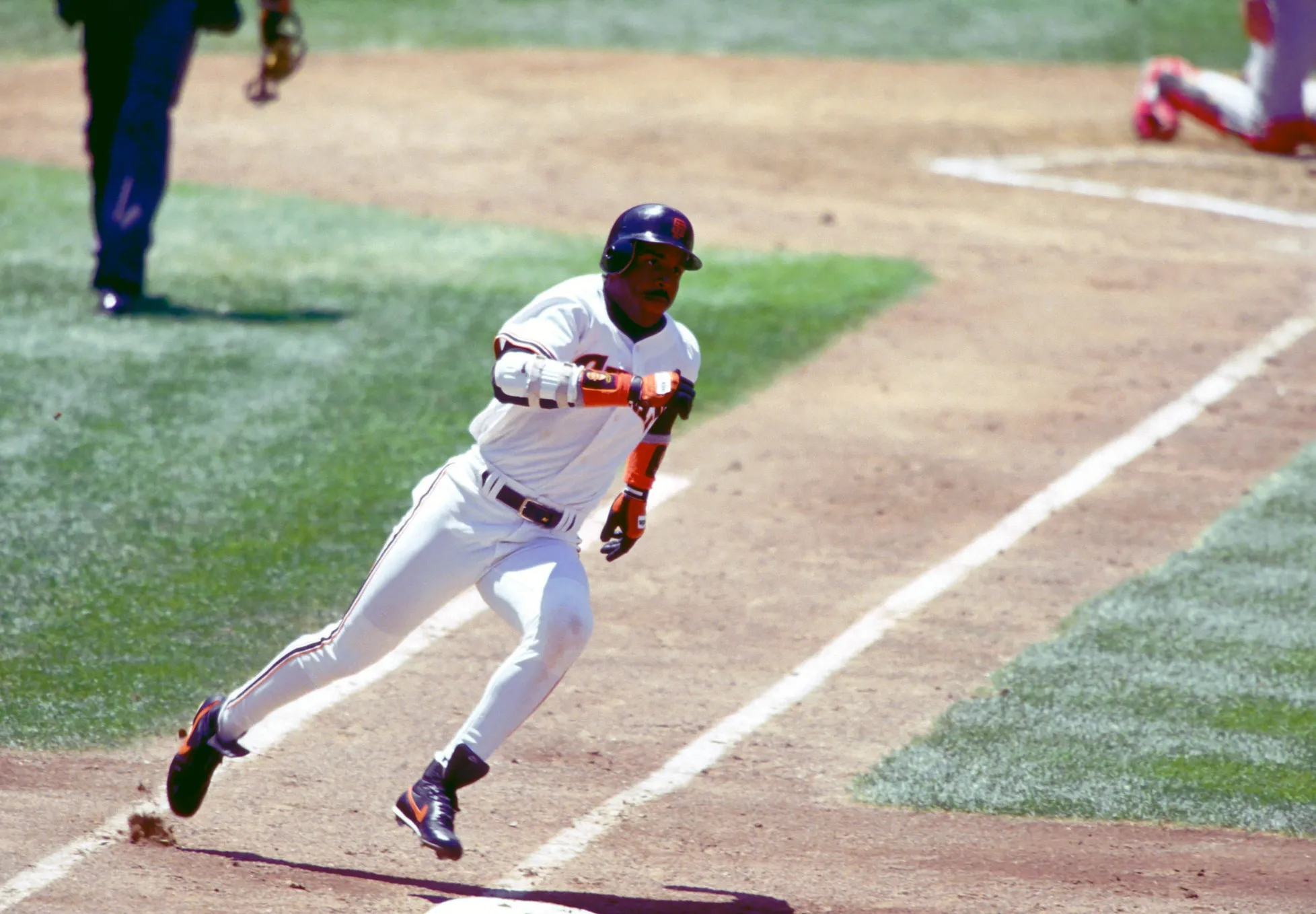 Top 15 Sluggers in MLB History — Ranked by Home Runs