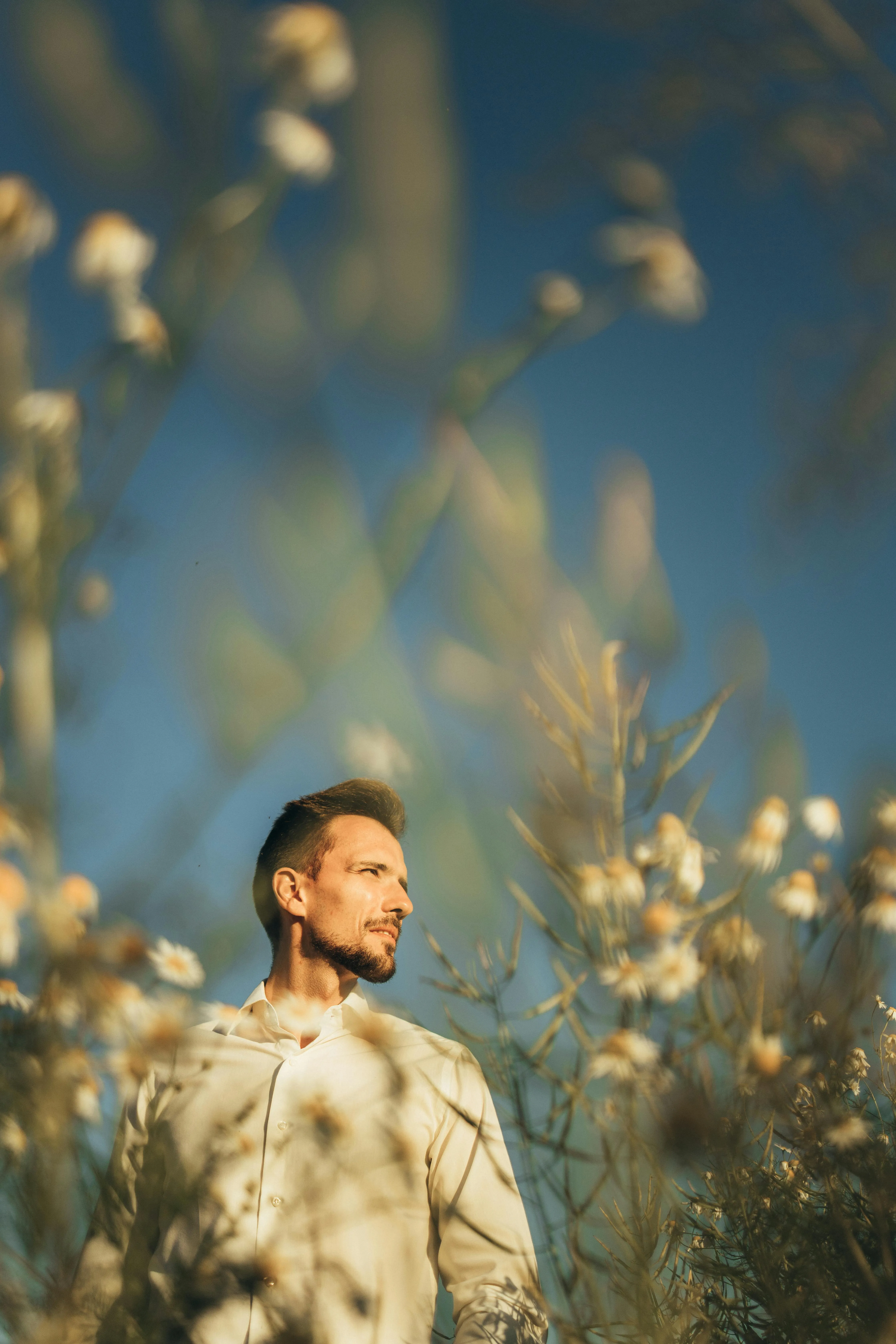 Maksim Goncharenok on pexels