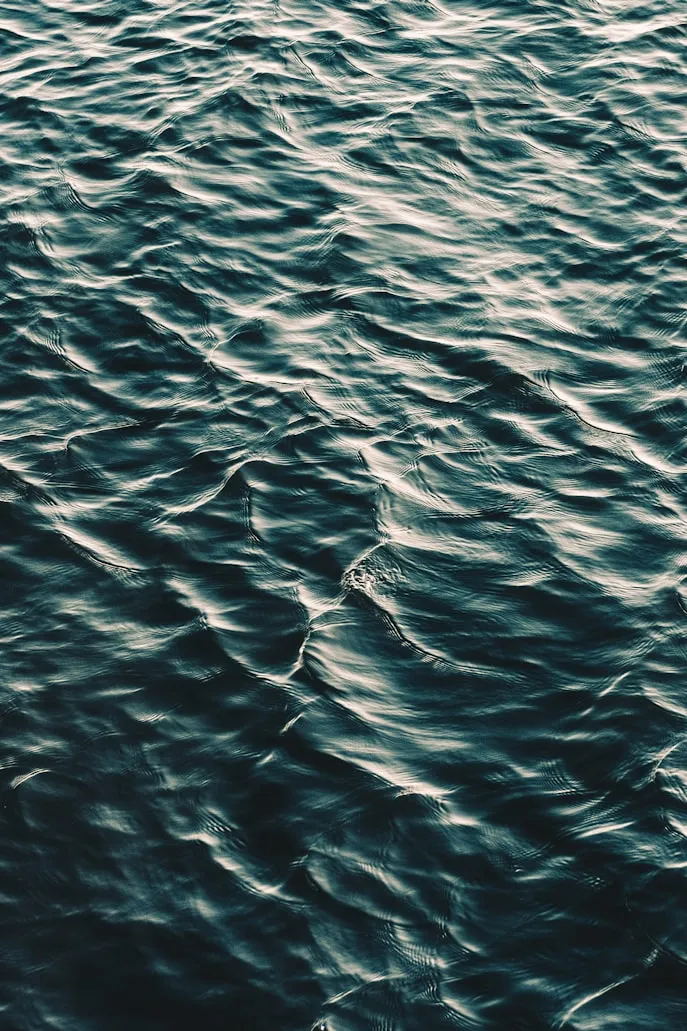 Akira Hojo from Unsplash