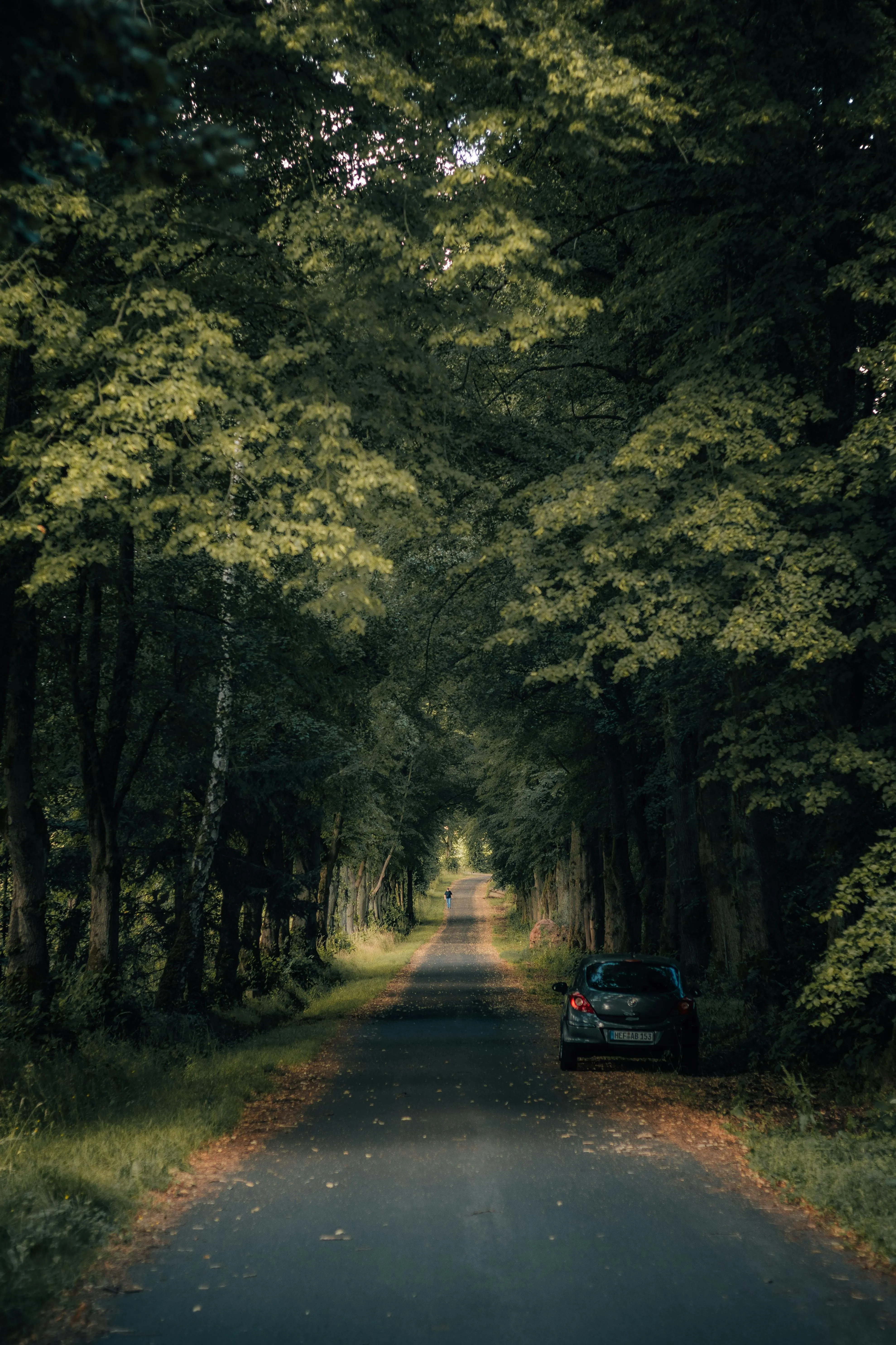 Arlind D on Pexels
