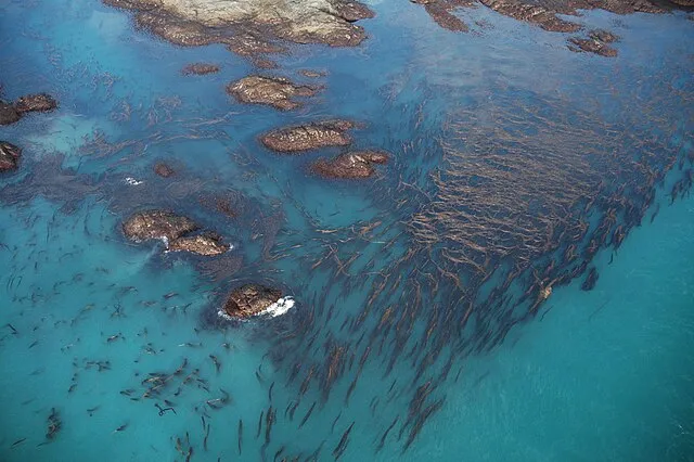 Alaska ShoreZone Program on Wikimedia Commons
