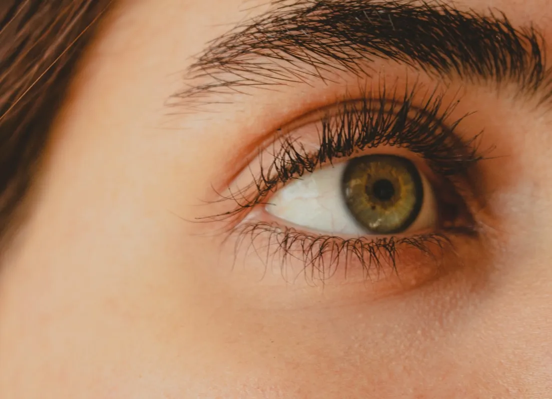 Ali Shoaee on Unsplash