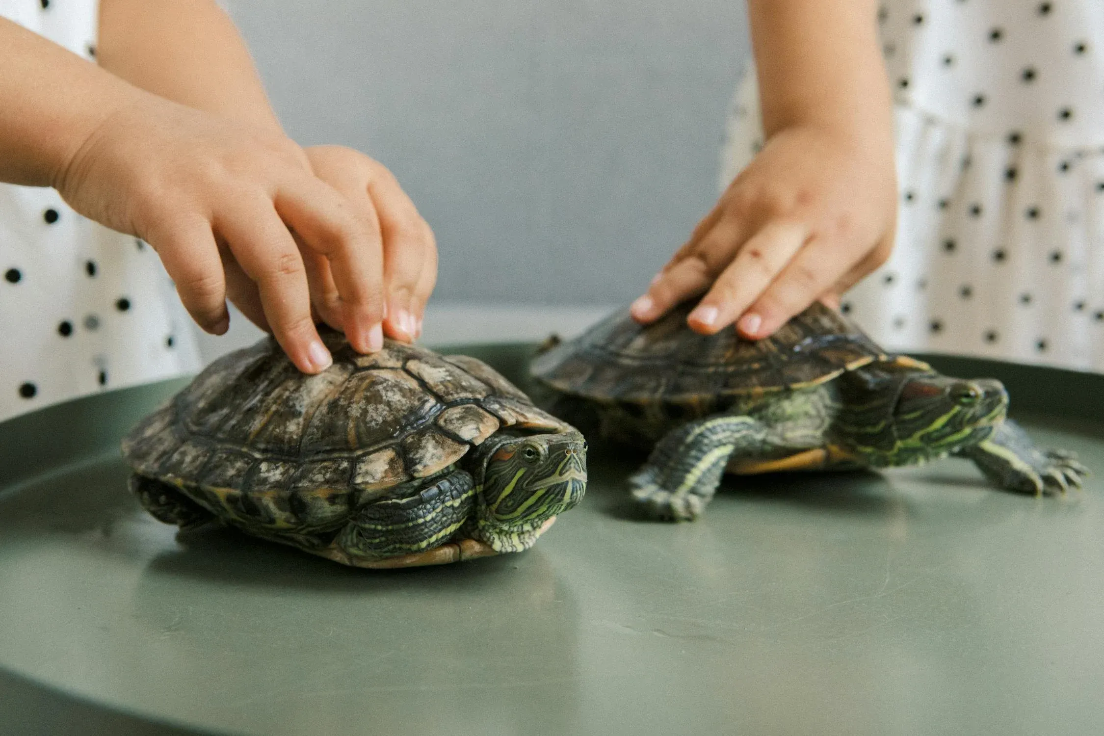 KATRIN BOLOVTSOVA on Pexels