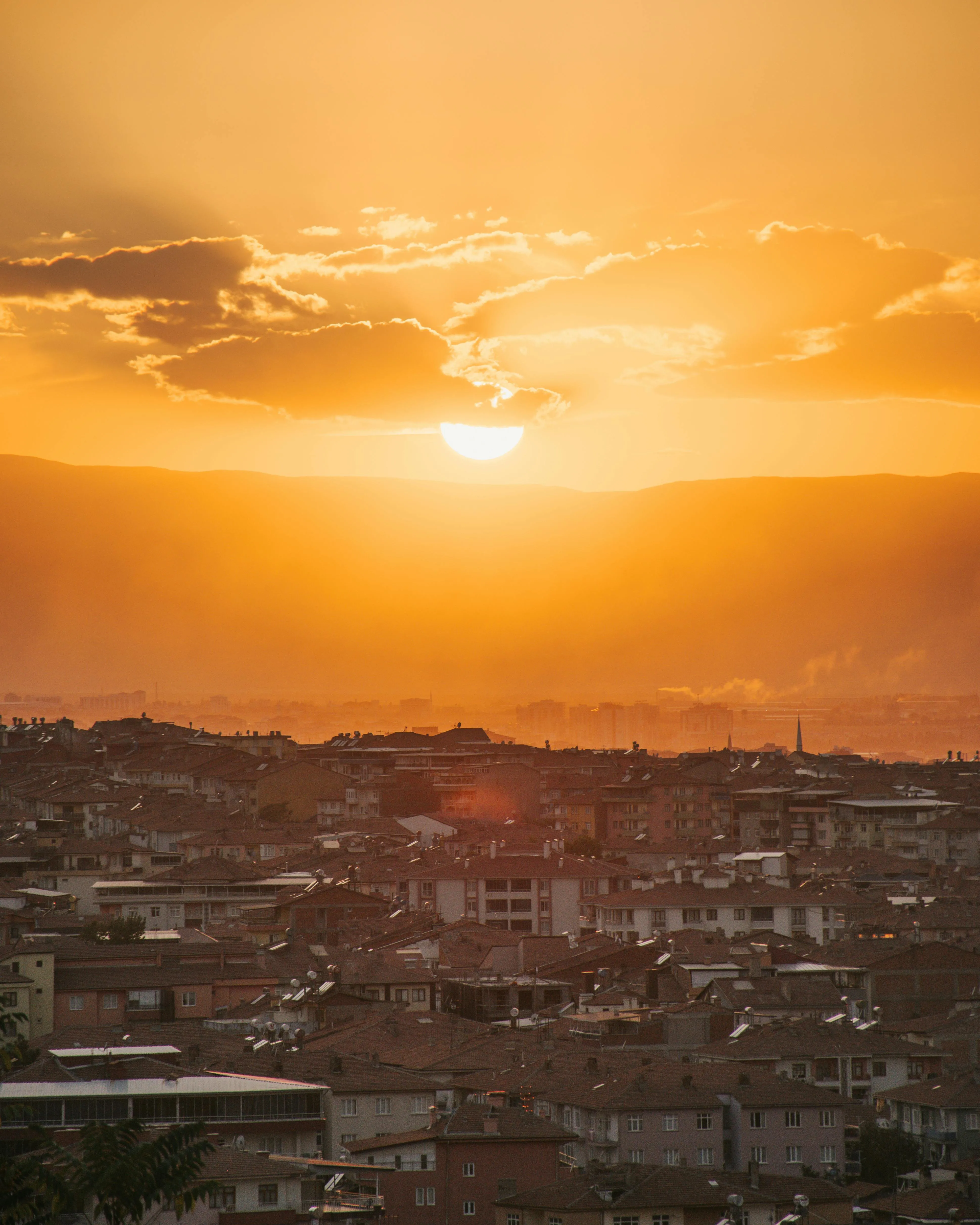 Ahmet Polat on Pexels