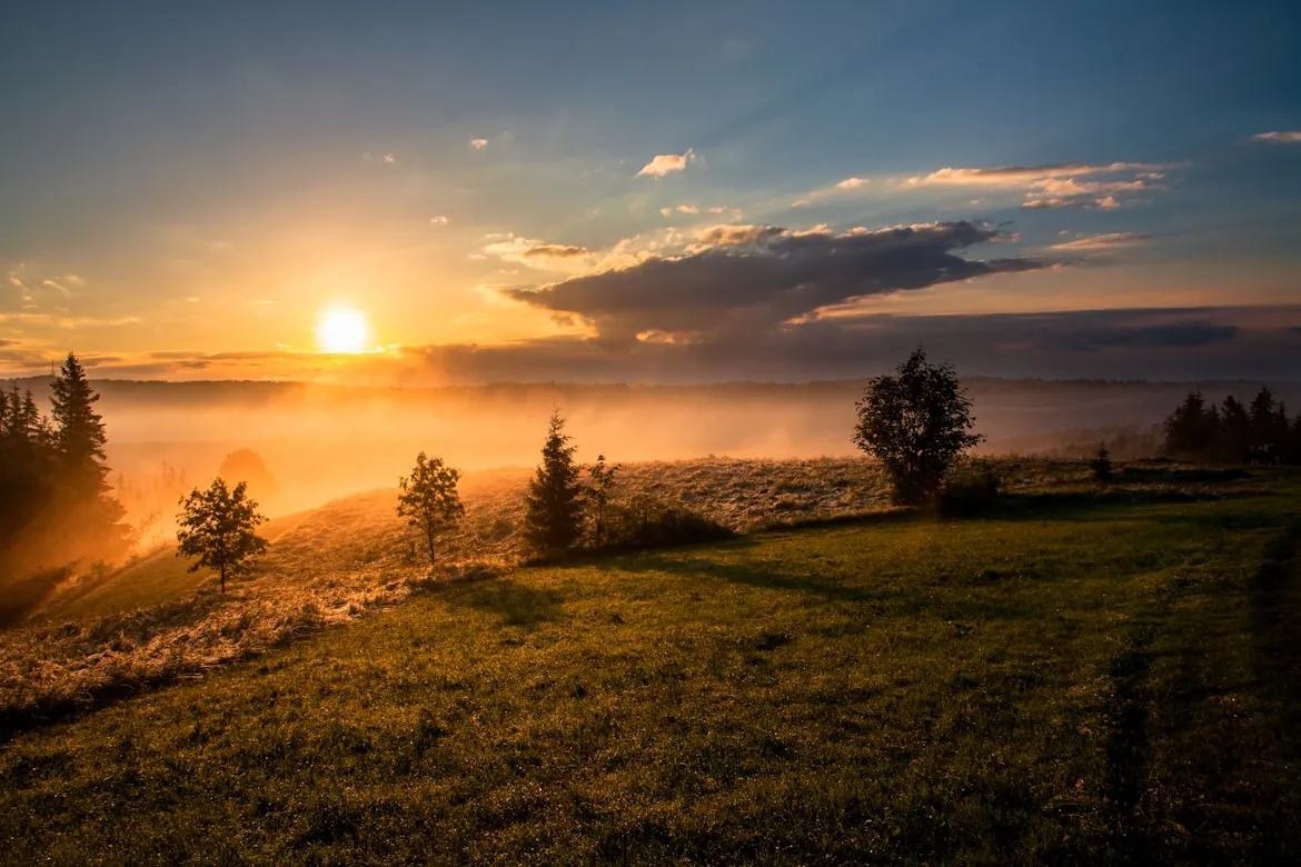 Dawid Zawiła from Unsplash