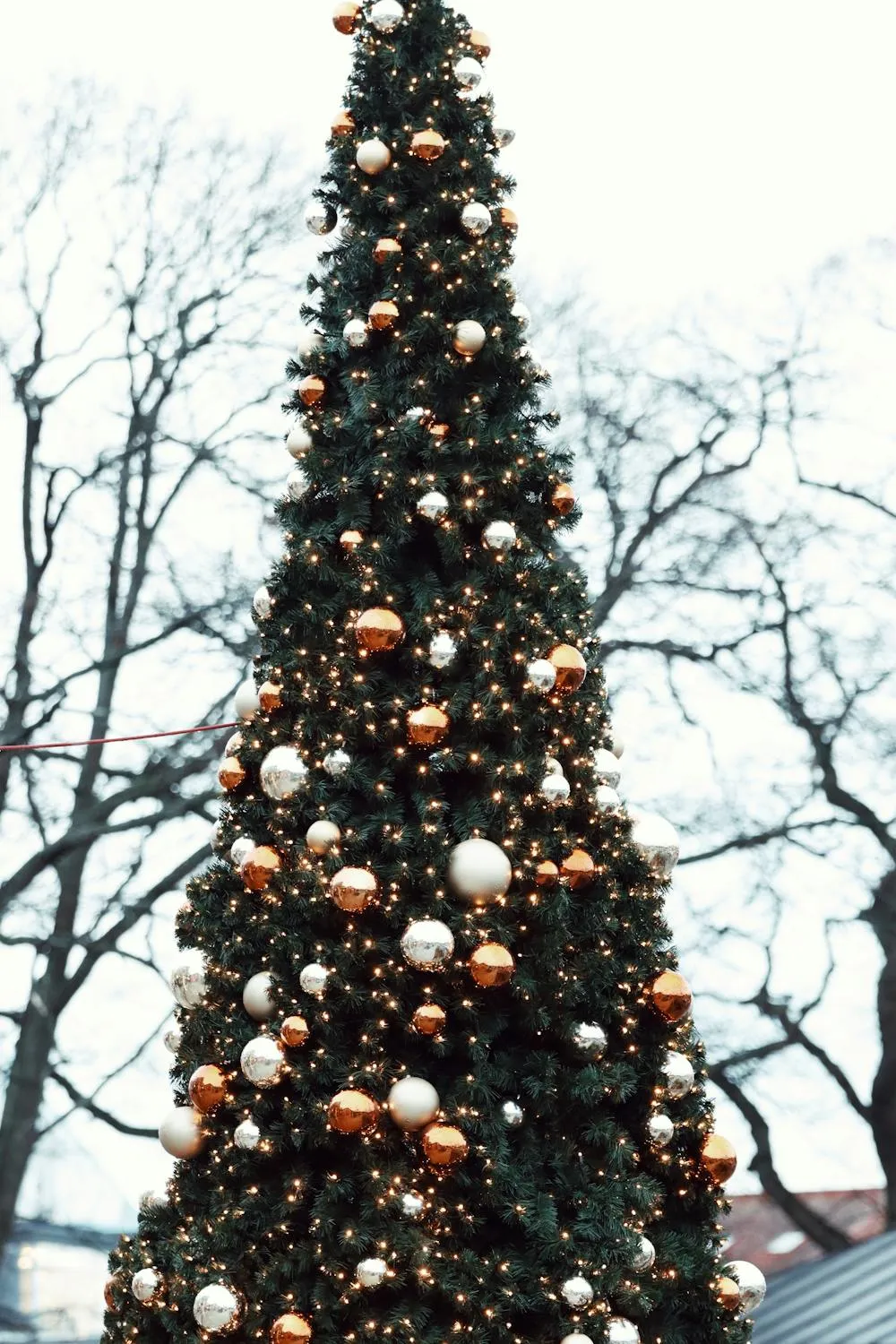 20 Creative Ways Cities Have Recycled Christmas Trees