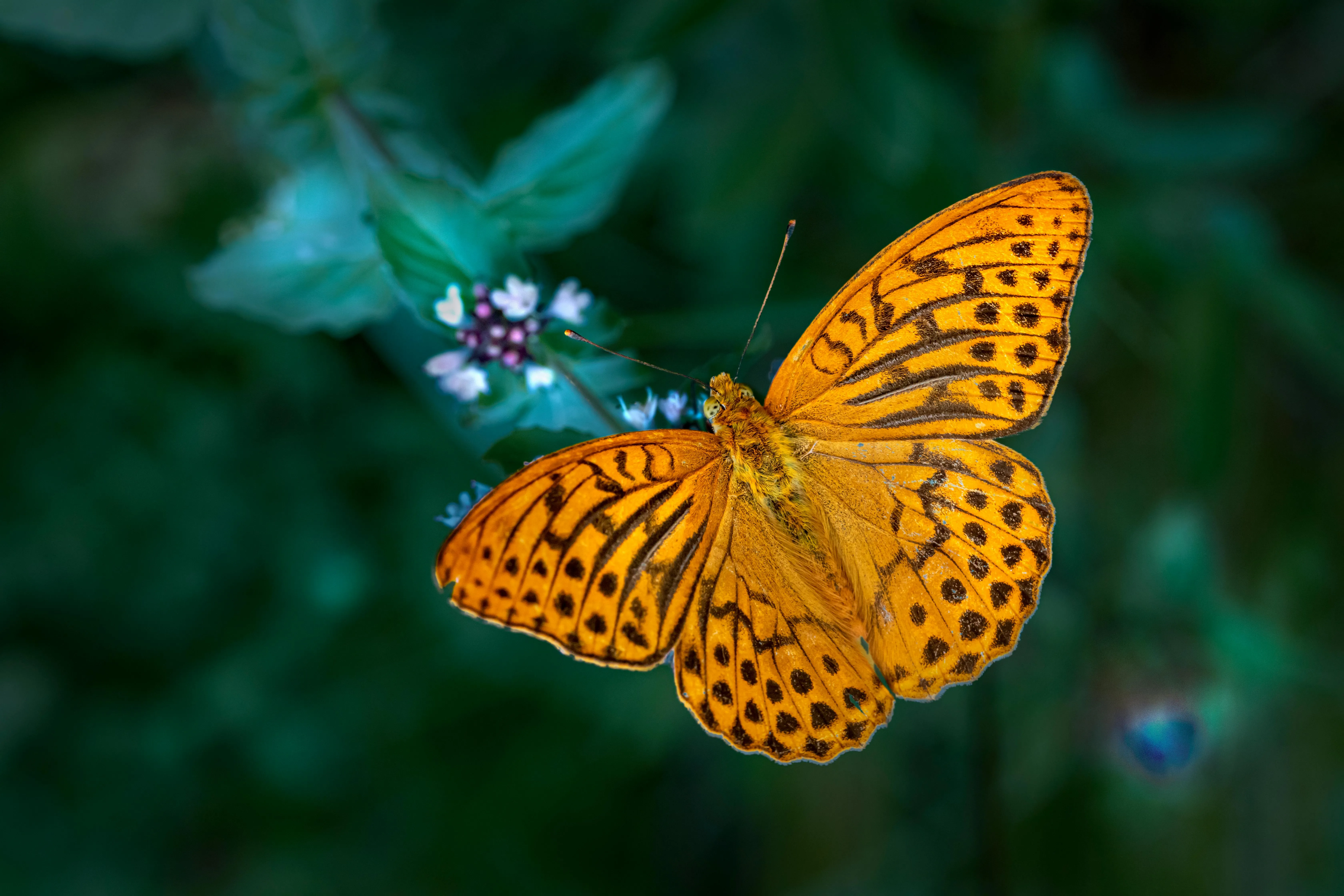 Erik Karits on Pexels