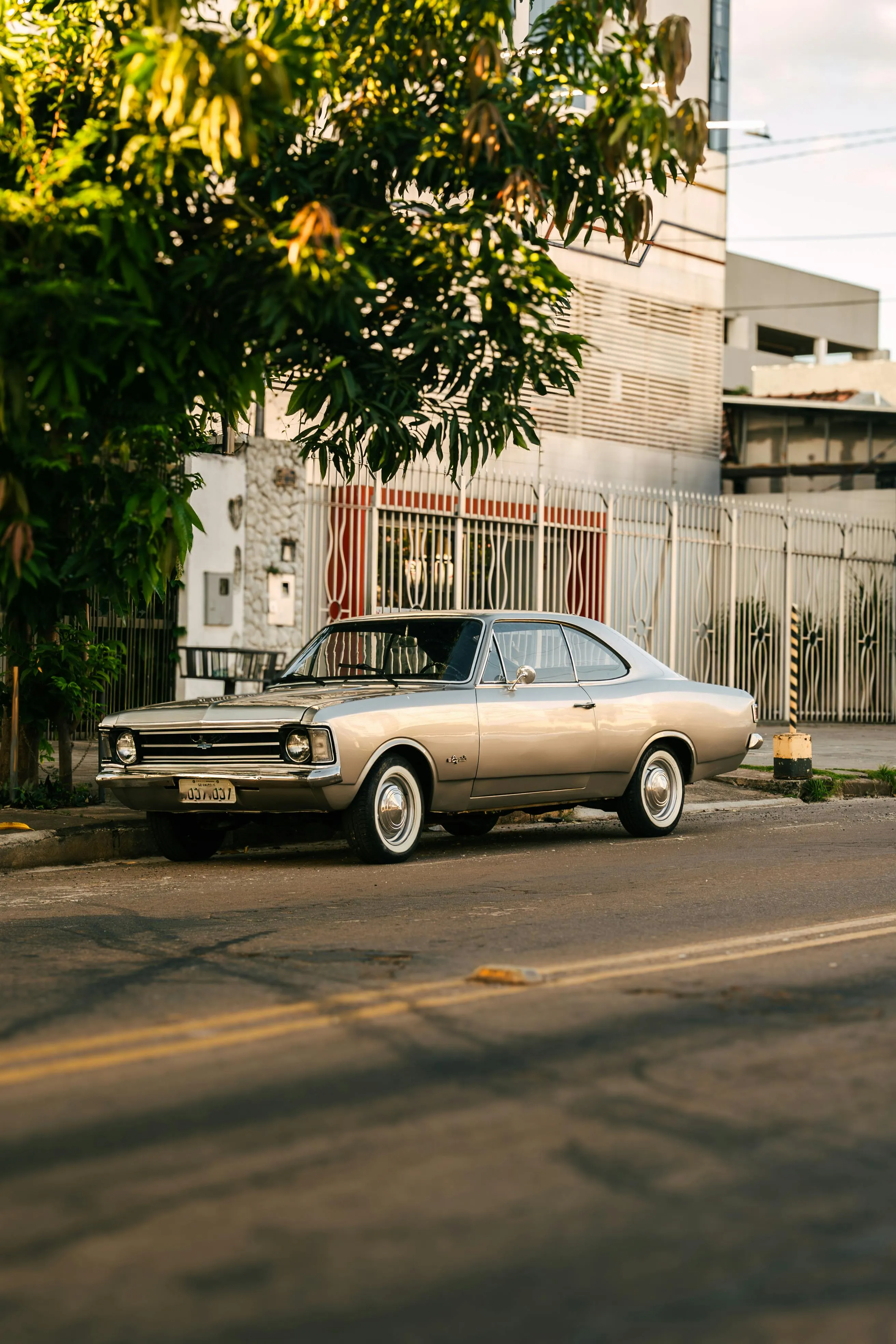 Eliézer Fernandes on Pexels