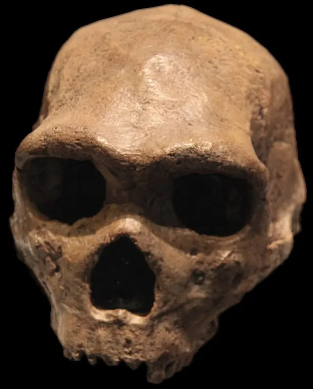 UtaUtaNapishtim on Wikimedia Commons