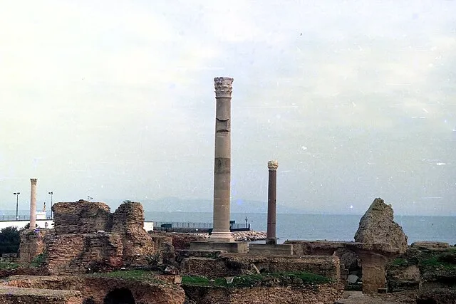 Silar on Wikimedia Commons