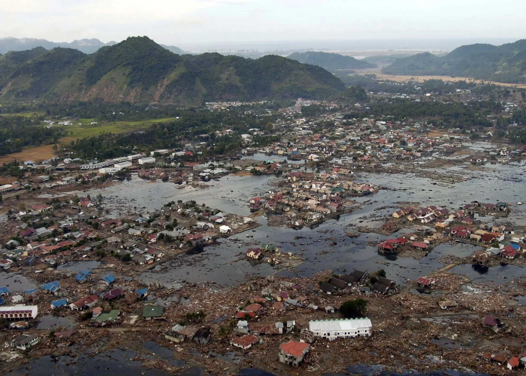 Image from Wikipedia 
